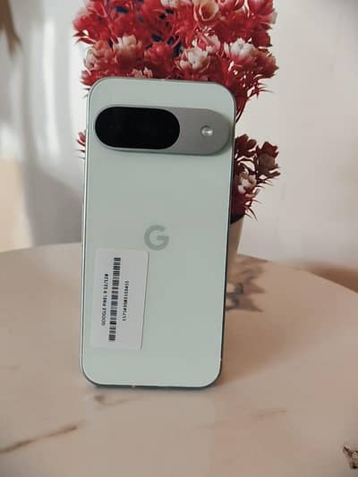 Google Pixel 9