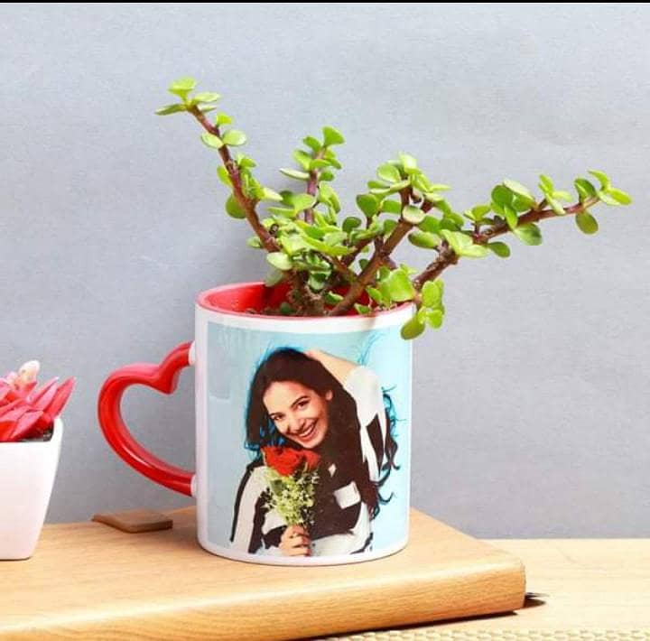 Customized Cup 6