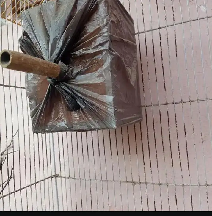 Birds Cage — photo 5