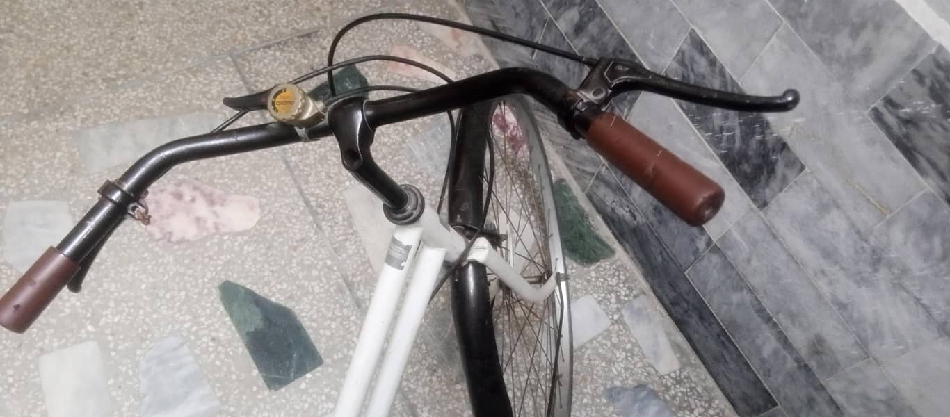 bicycle 2