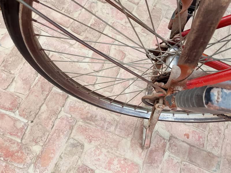 sohrab cycle 2