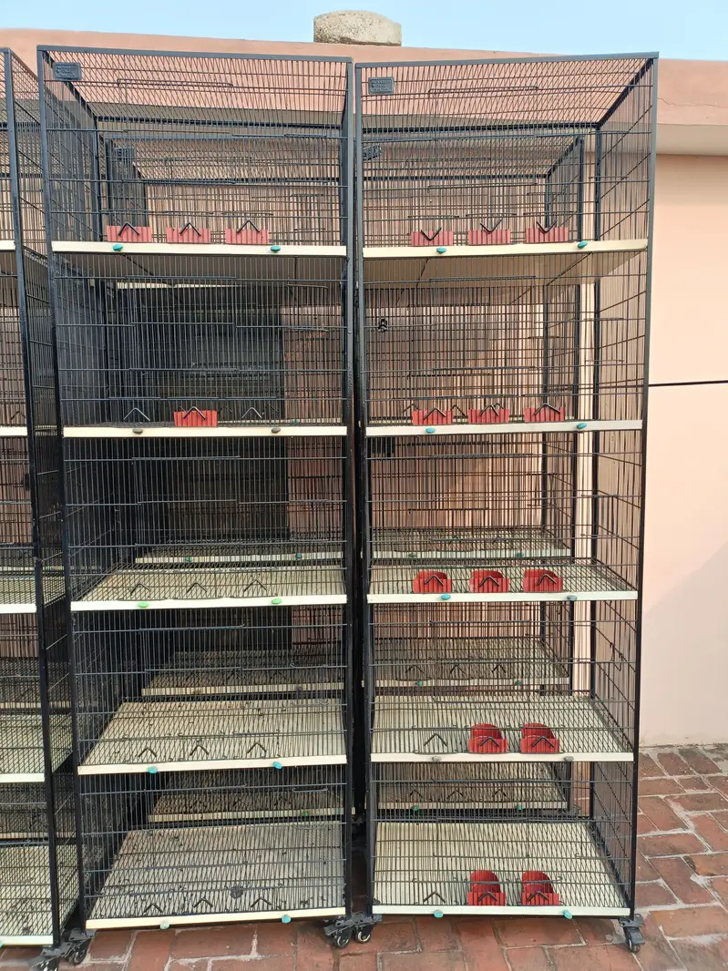Cage for Sale