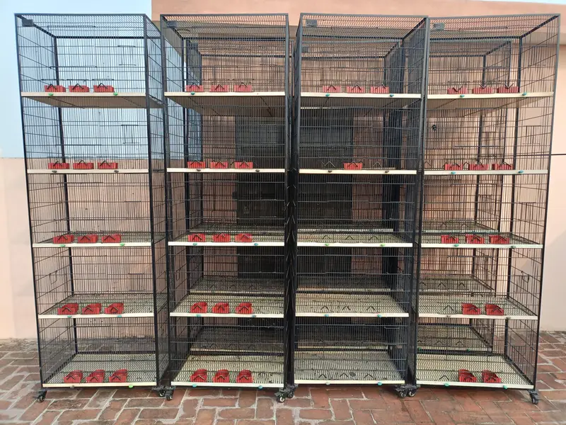 Cage for Sale — photo 2