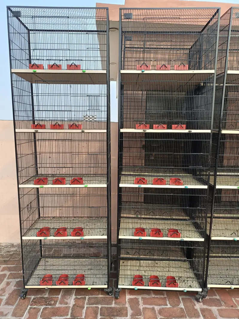 Cage for Sale — photo 3