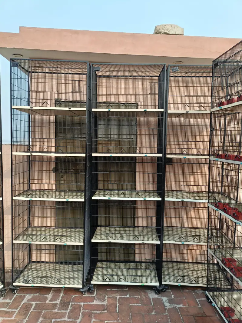 Cage for Sale — photo 5