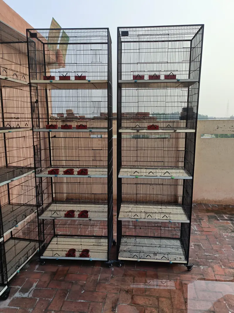 Cage for Sale — photo 6