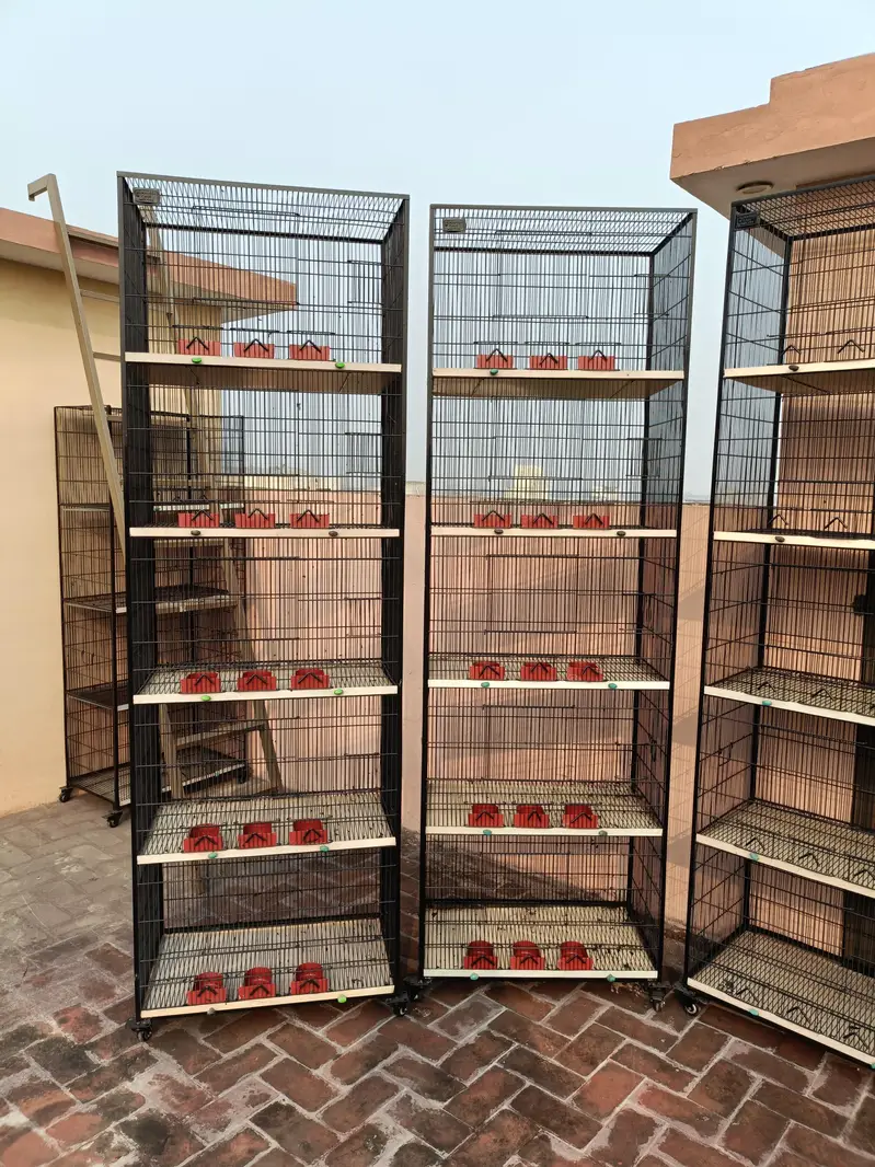 Cage for Sale — photo 8