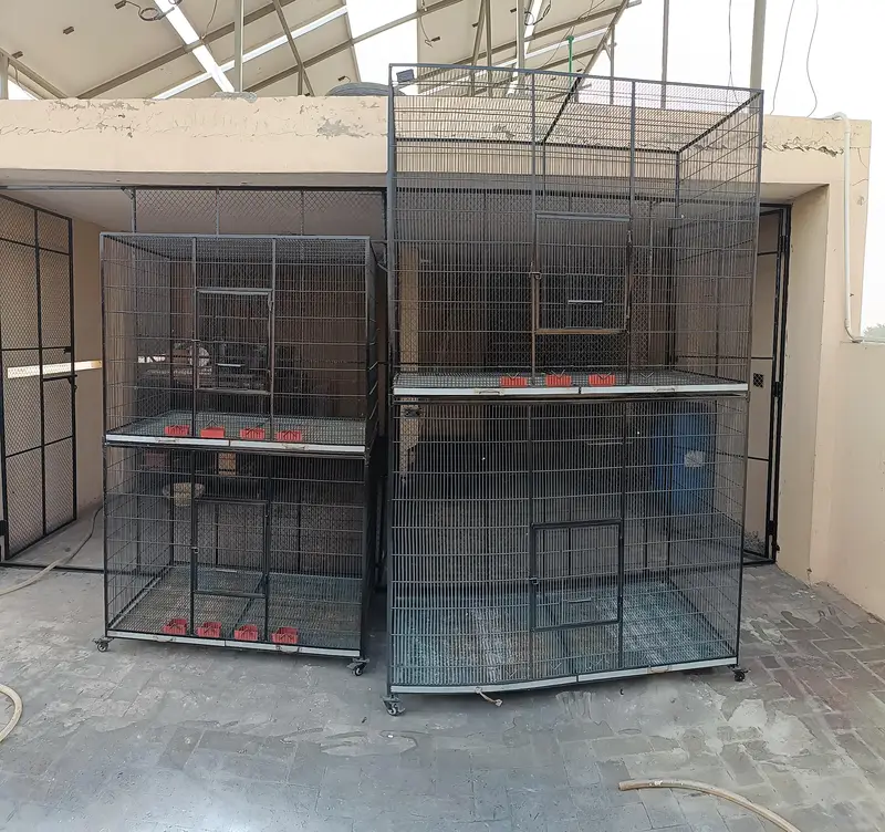 Cage for Sale — photo 9