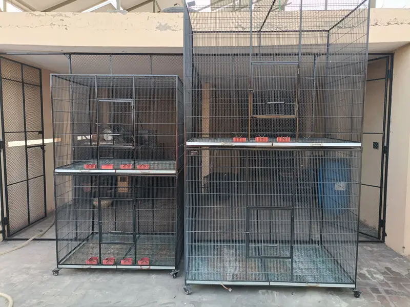Cage for Sale — photo 10