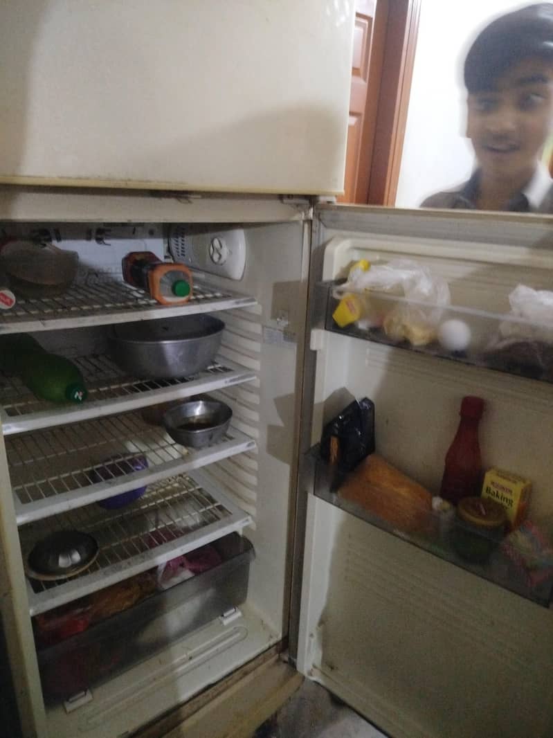 pel fridge 2