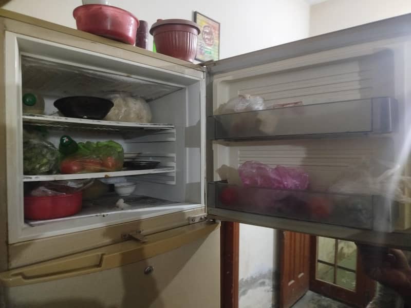pel fridge 3