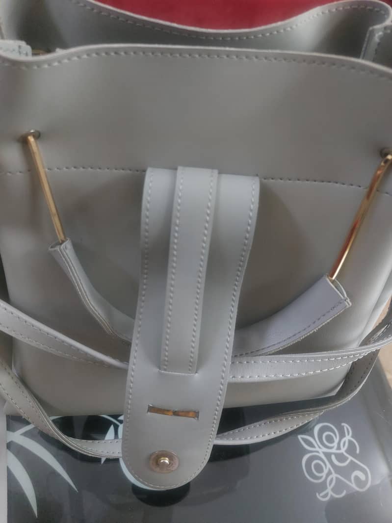 Handbag 4