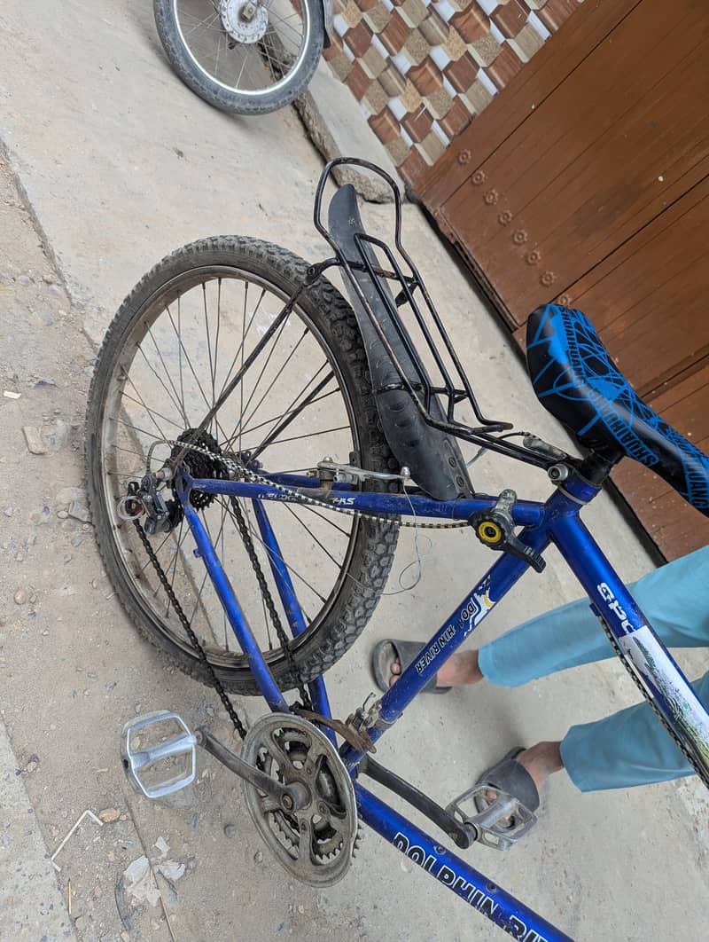 cycle Phoenix ‍ 2