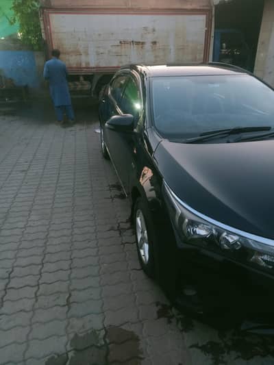 xli 2016 model Black chat Digi bount genieune h side shawar