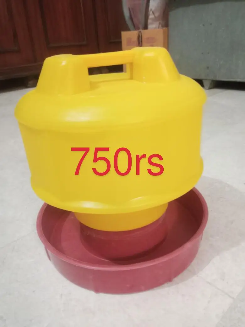 hen water and feed feeder , water bottle feed bowl — photo 3