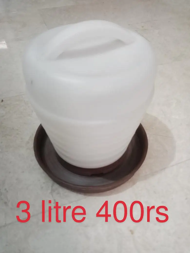 hen water and feed feeder , water bottle feed bowl — photo 4