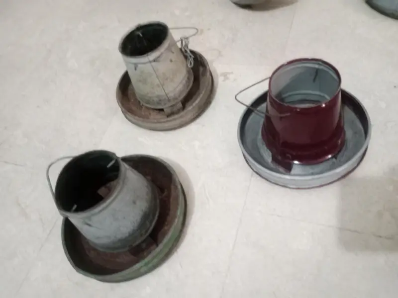 hen water and feed feeder , water bottle feed bowl — photo 5