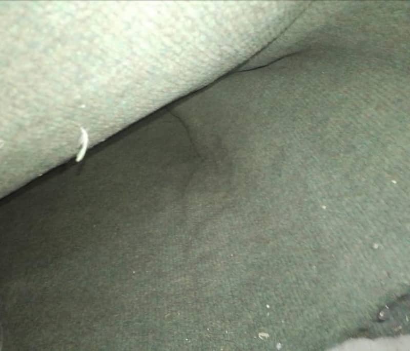 Carpet 0
