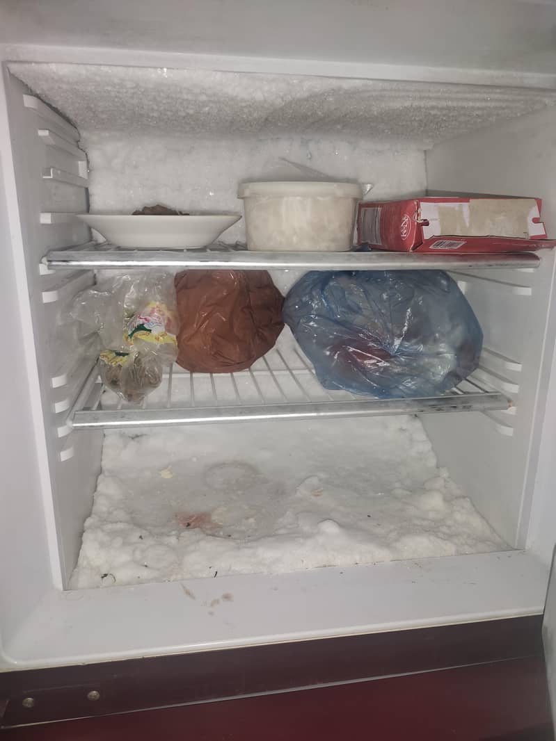 Medium Size Fridge 1