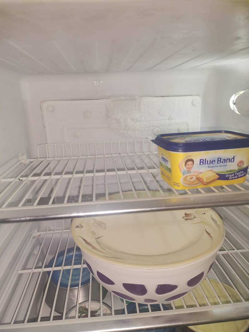 Medium Size Fridge 3
