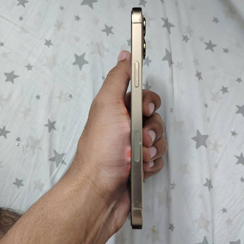 iPhone 12 Pro Max JV 2