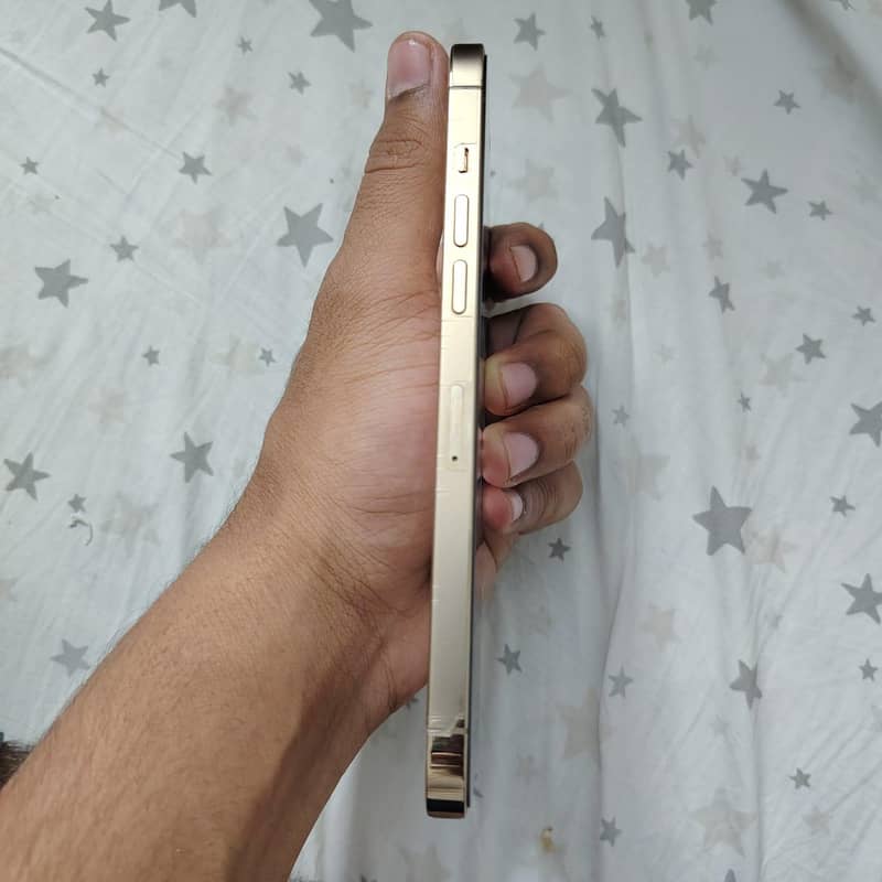 iPhone 12 Pro Max JV 5