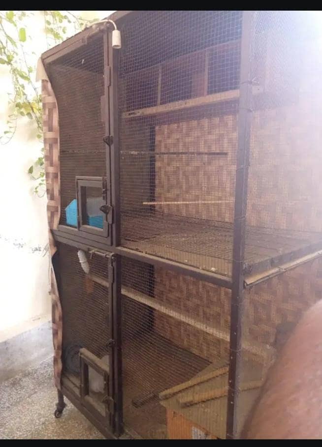 solid birds Cage 0