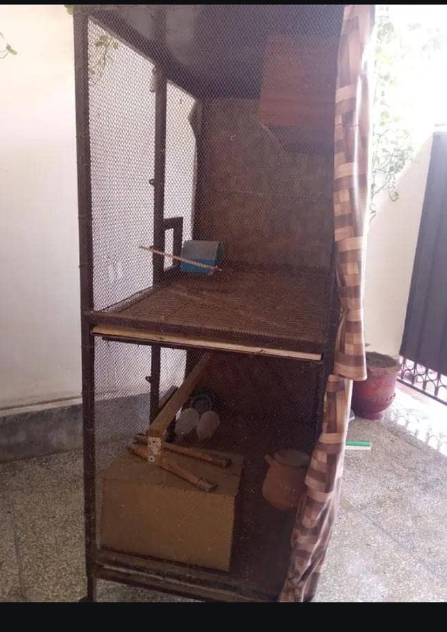 solid birds Cage 2