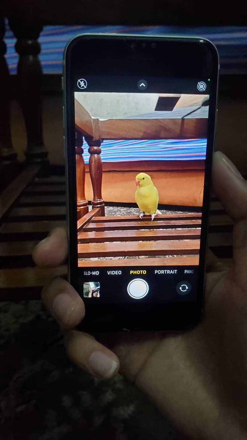 IPHONE SE 2020 11