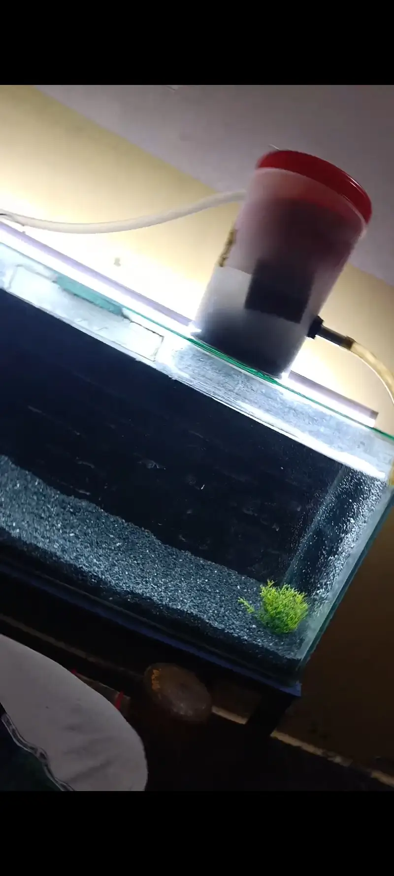 Aquarium for sale