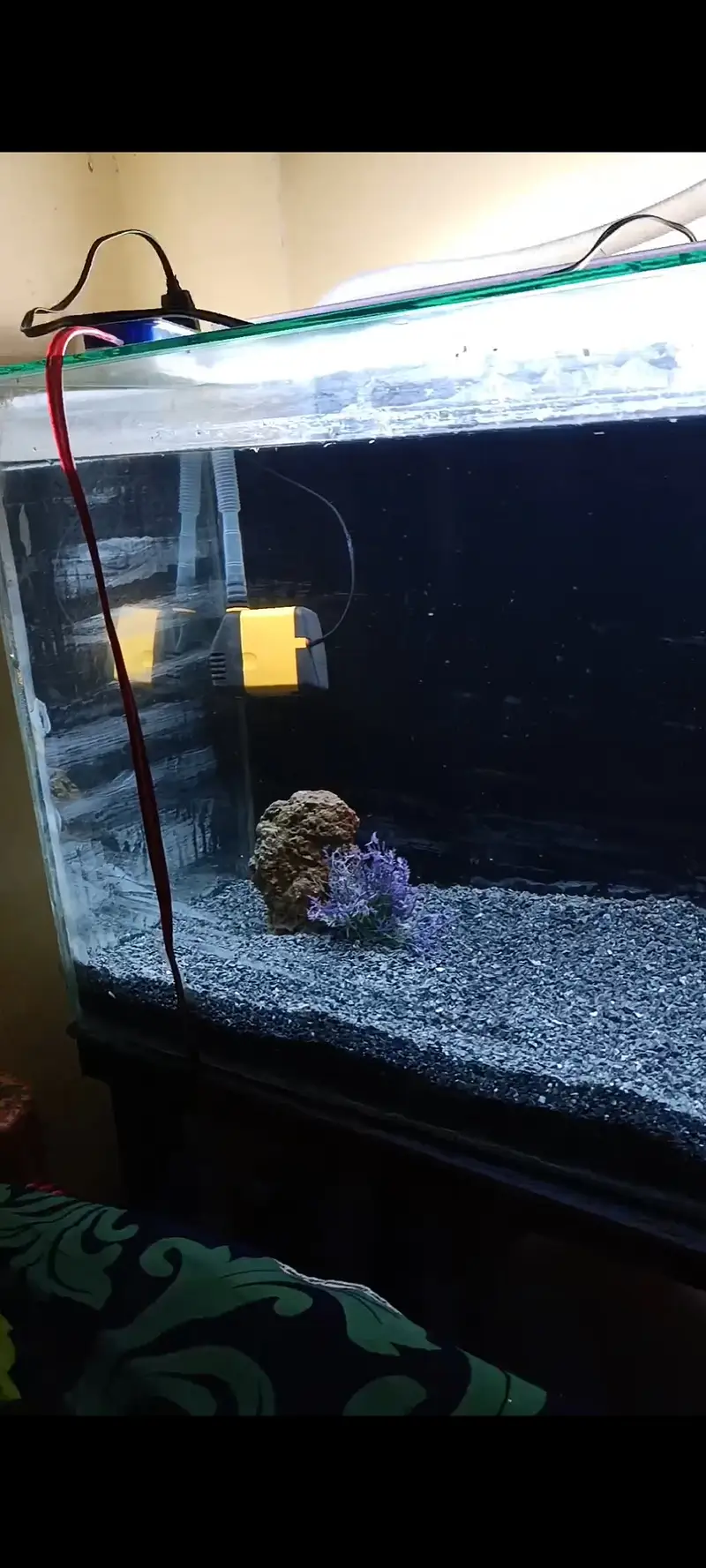Aquarium for sale — photo 2