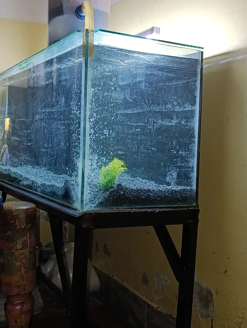 Aquarium for sale — photo 5