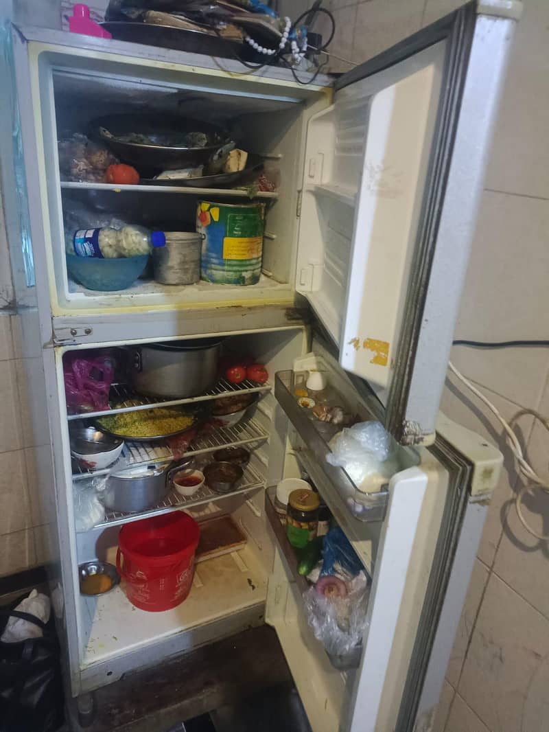 fridge 3