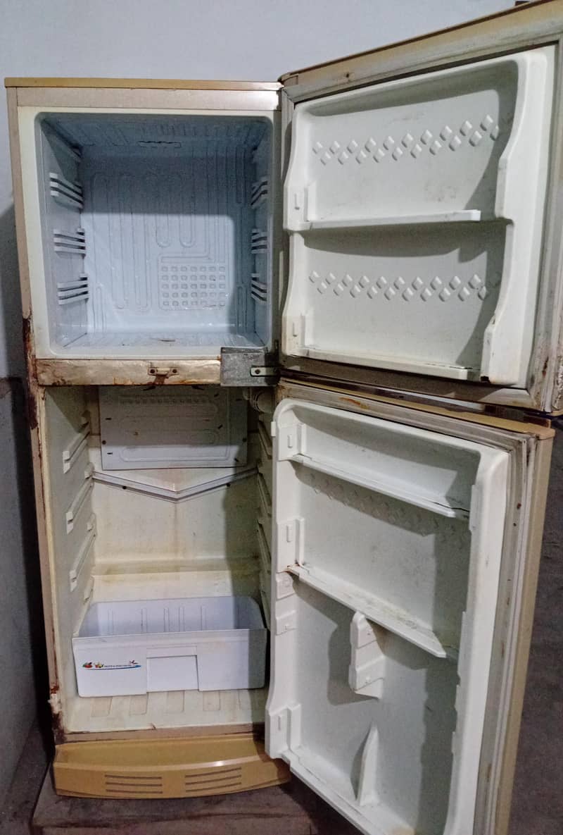 Fridge 1