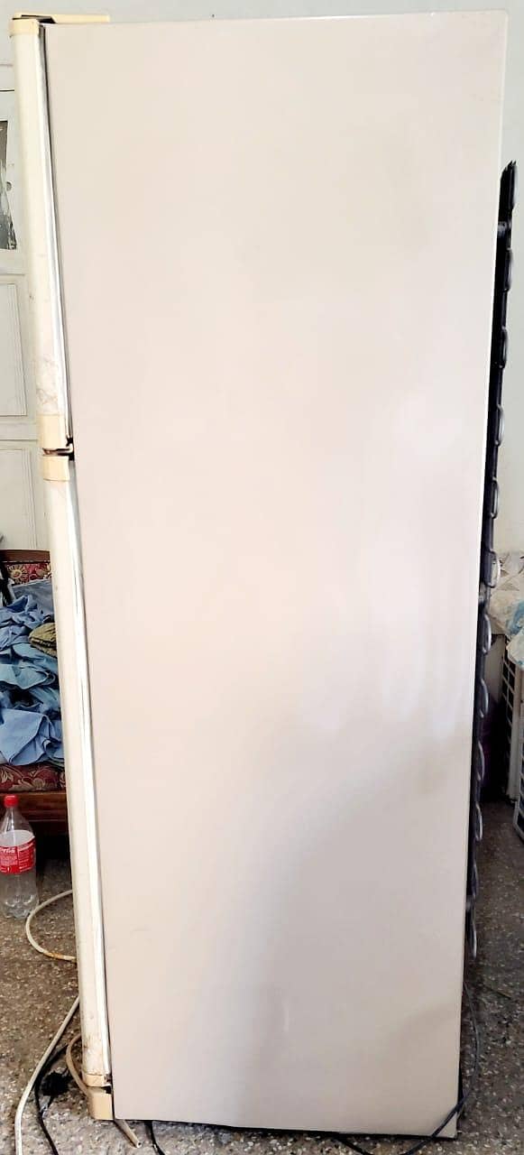 Waves Jumbo Size 1