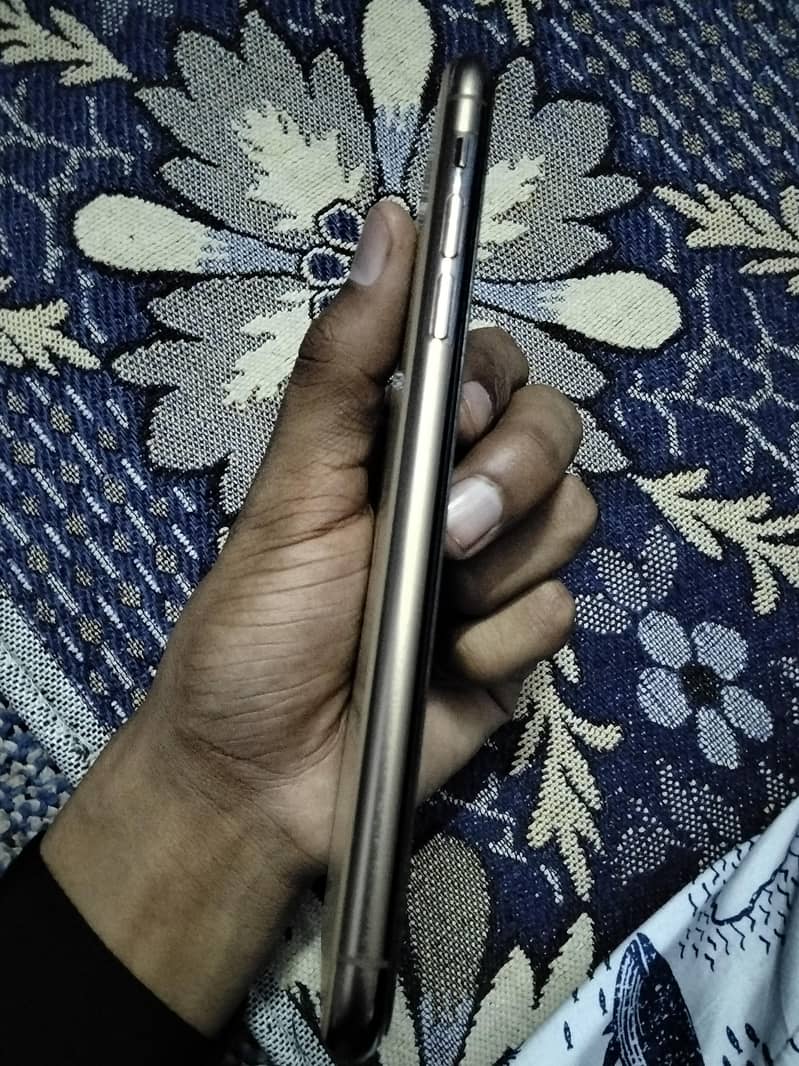 11 pro max 2