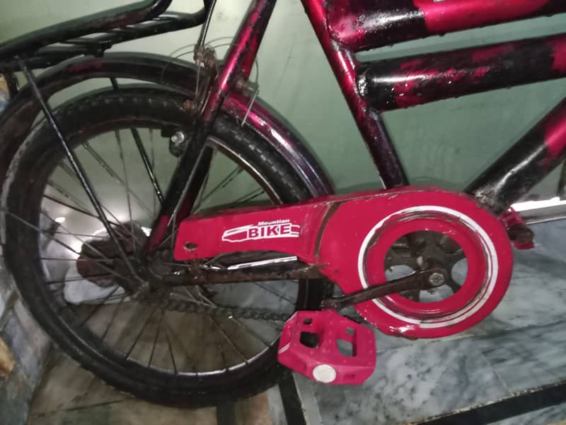 Cycle for Childrens 0