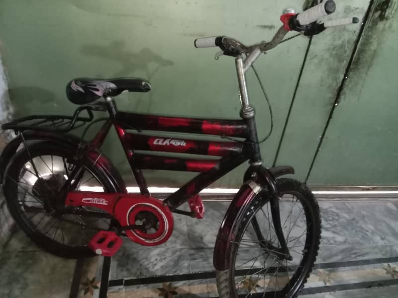 Cycle for Childrens 1