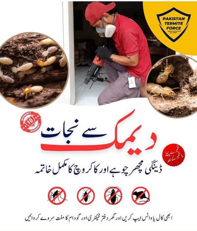Pest Control, Dengue Spary, Deemak Control & Cockroaches spray Service