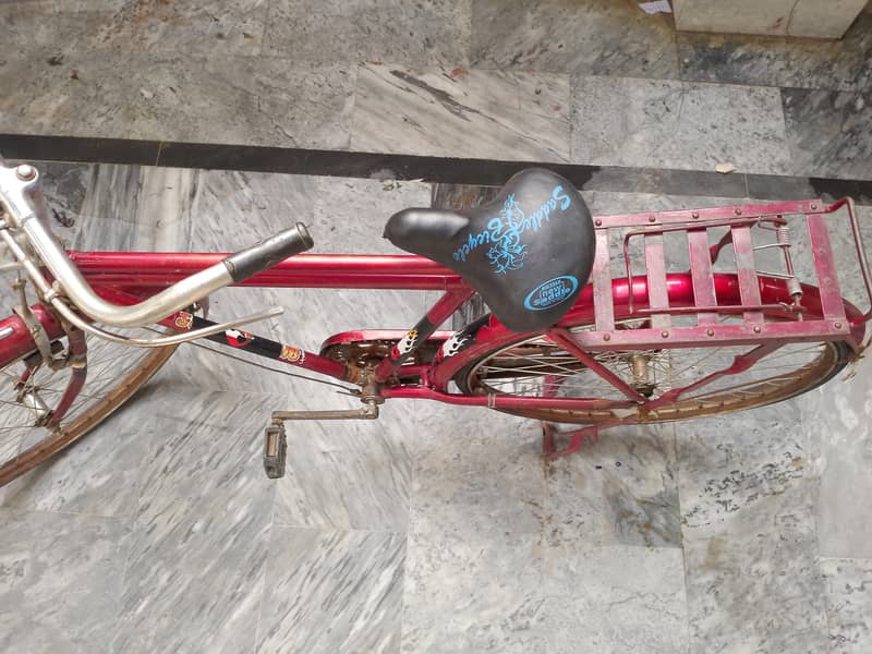 sohrab cycle 1