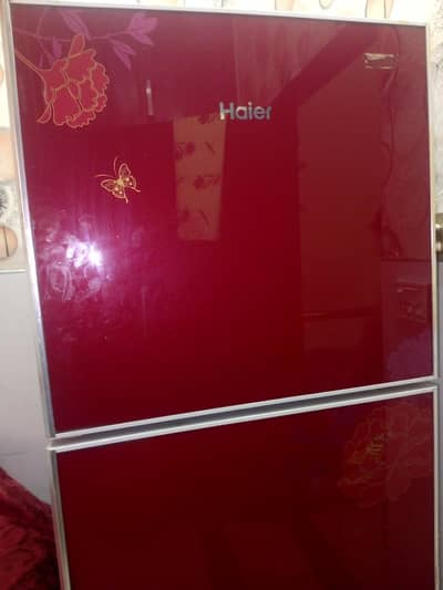 Haire refrigerator | powerfull cooling | Energy Efficent | Excilent