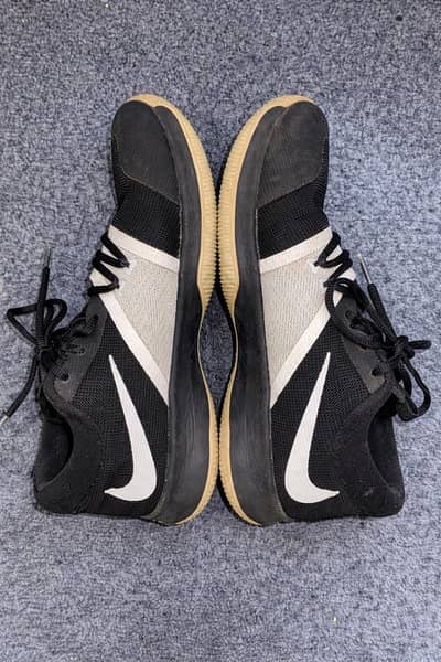 nike zoom assersion