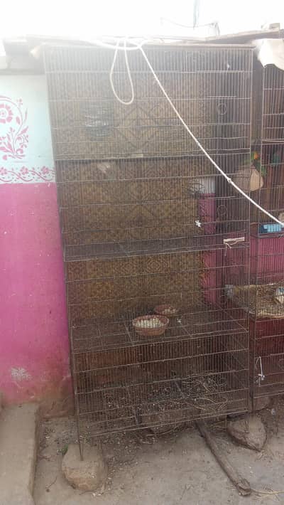 12 khane wala binjara