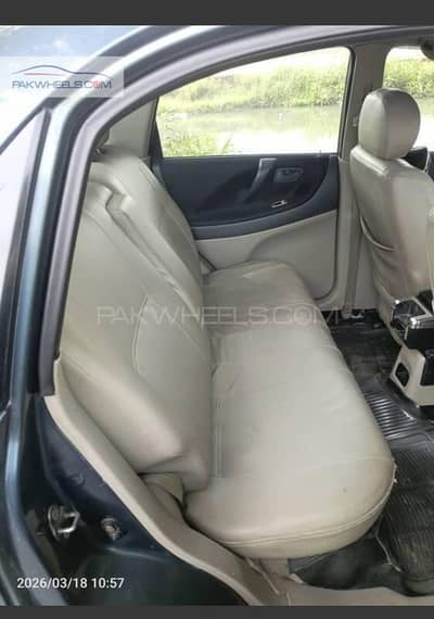 Suzuki liana