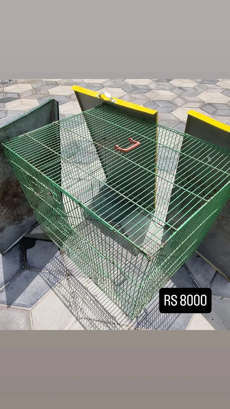 set of 3 Cages | bird cage | hen cage | iron cage | portion cage — photo 3