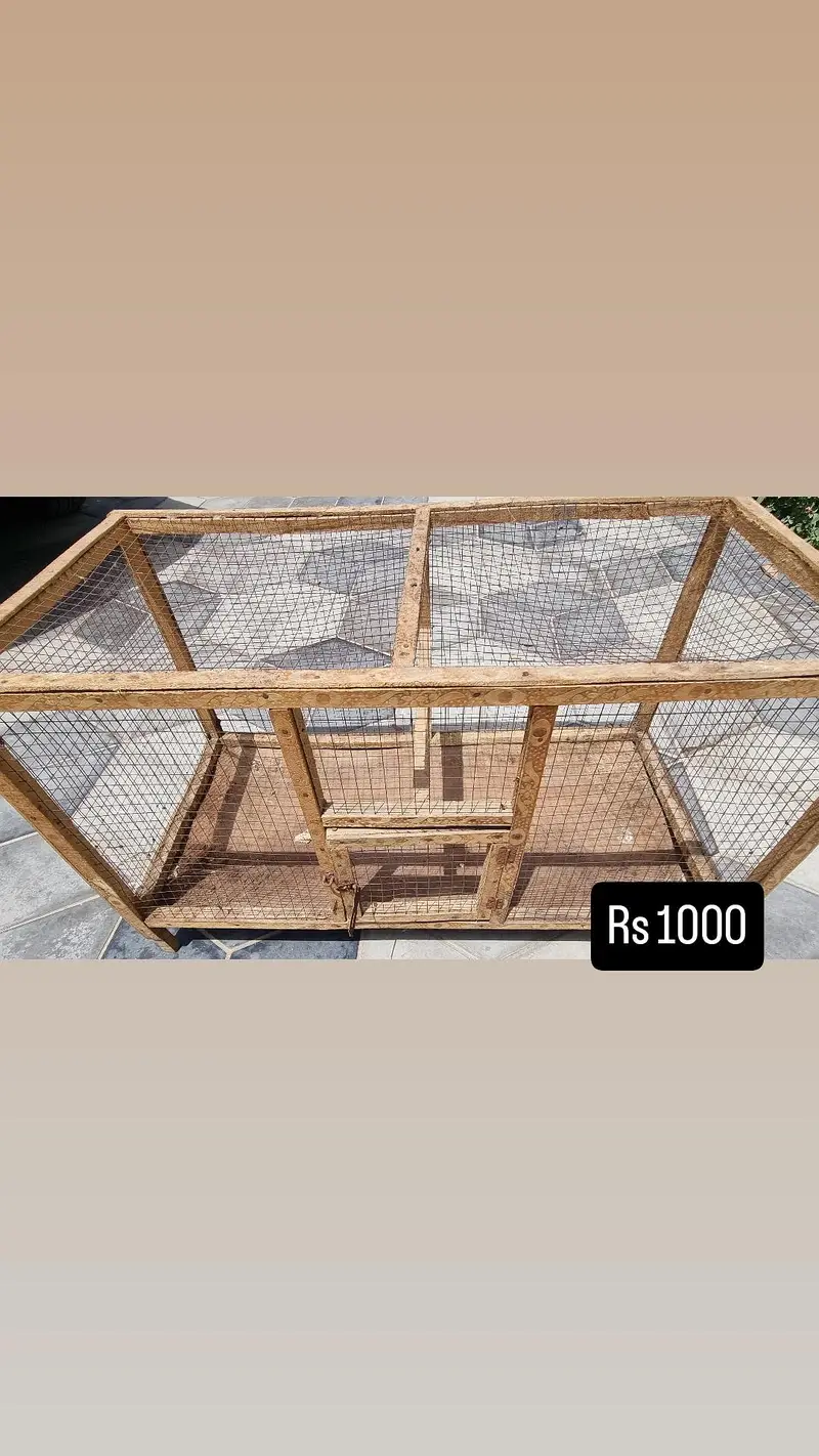 set of 3 Cages | bird cage | hen cage | iron cage | portion cage — photo 4