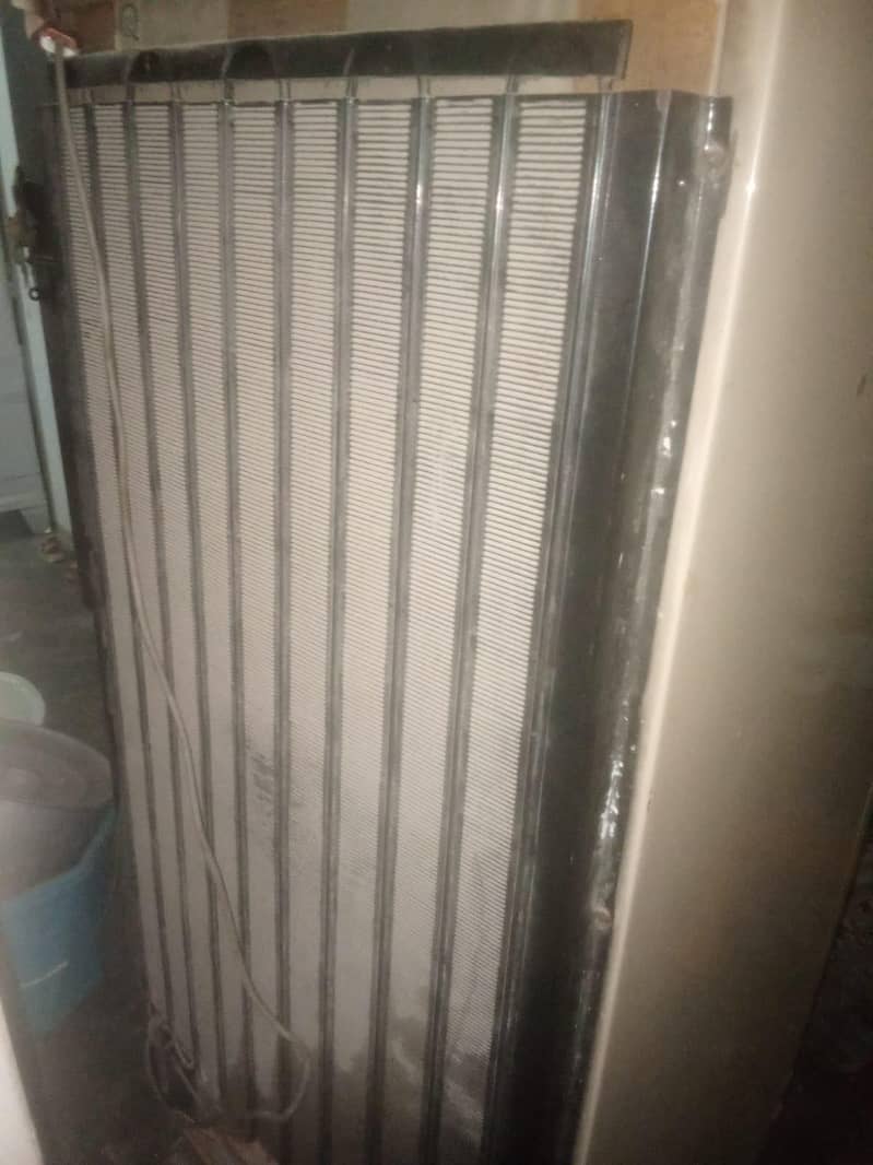 medium size pel 0