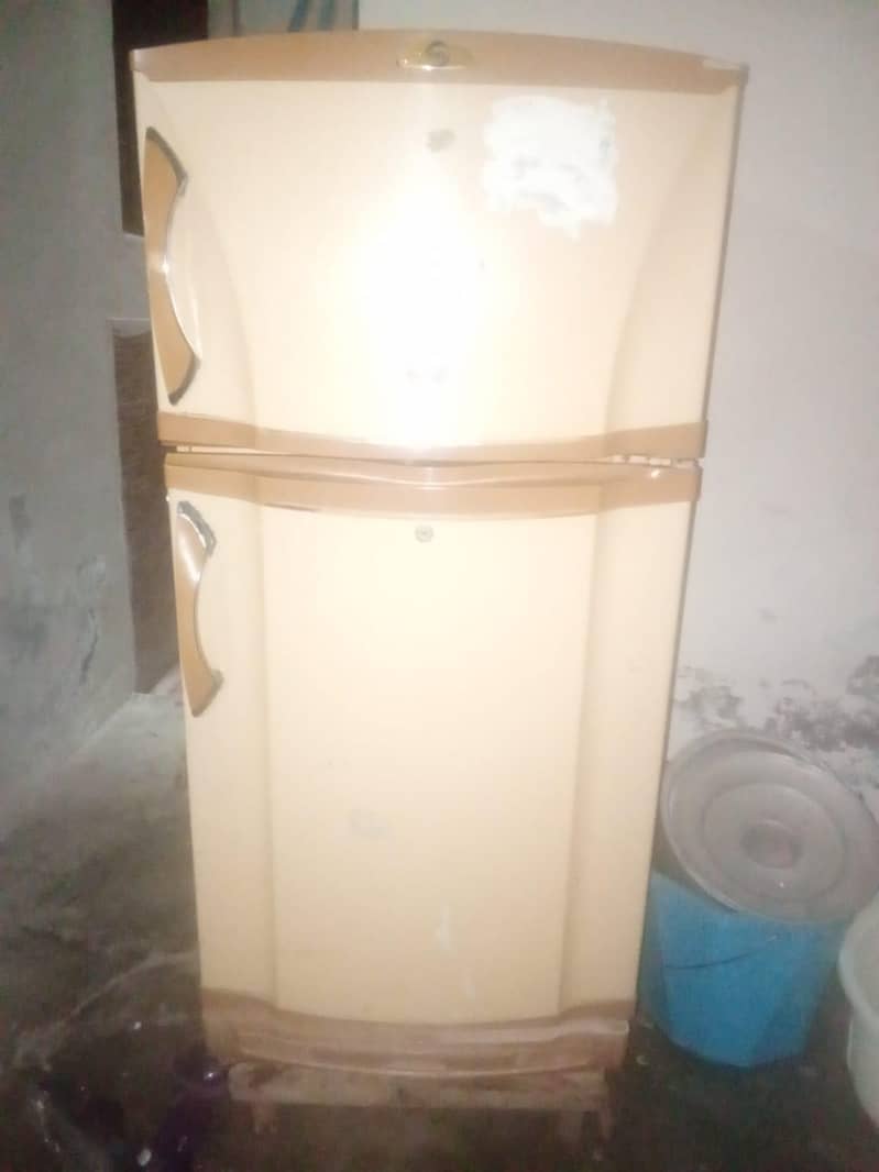 medium size pel 3