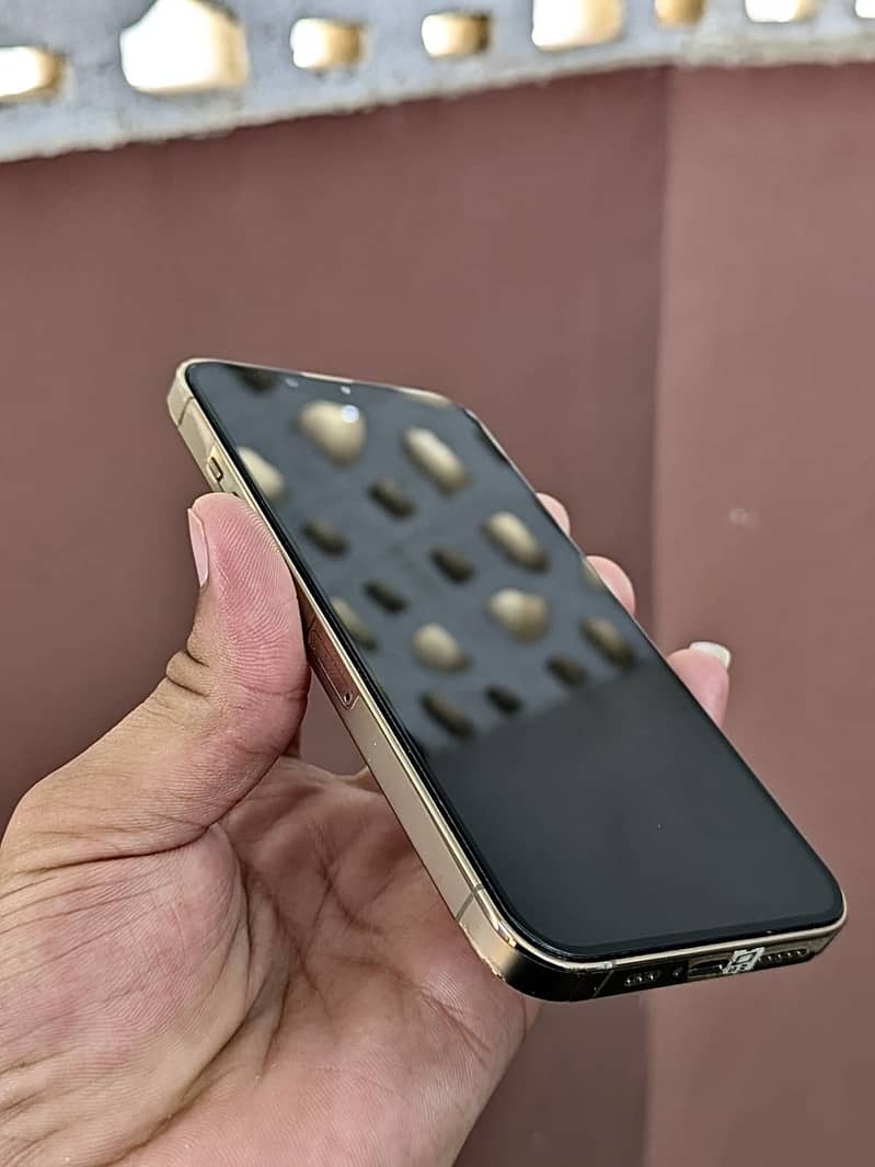 iPhone 13 Pro 0