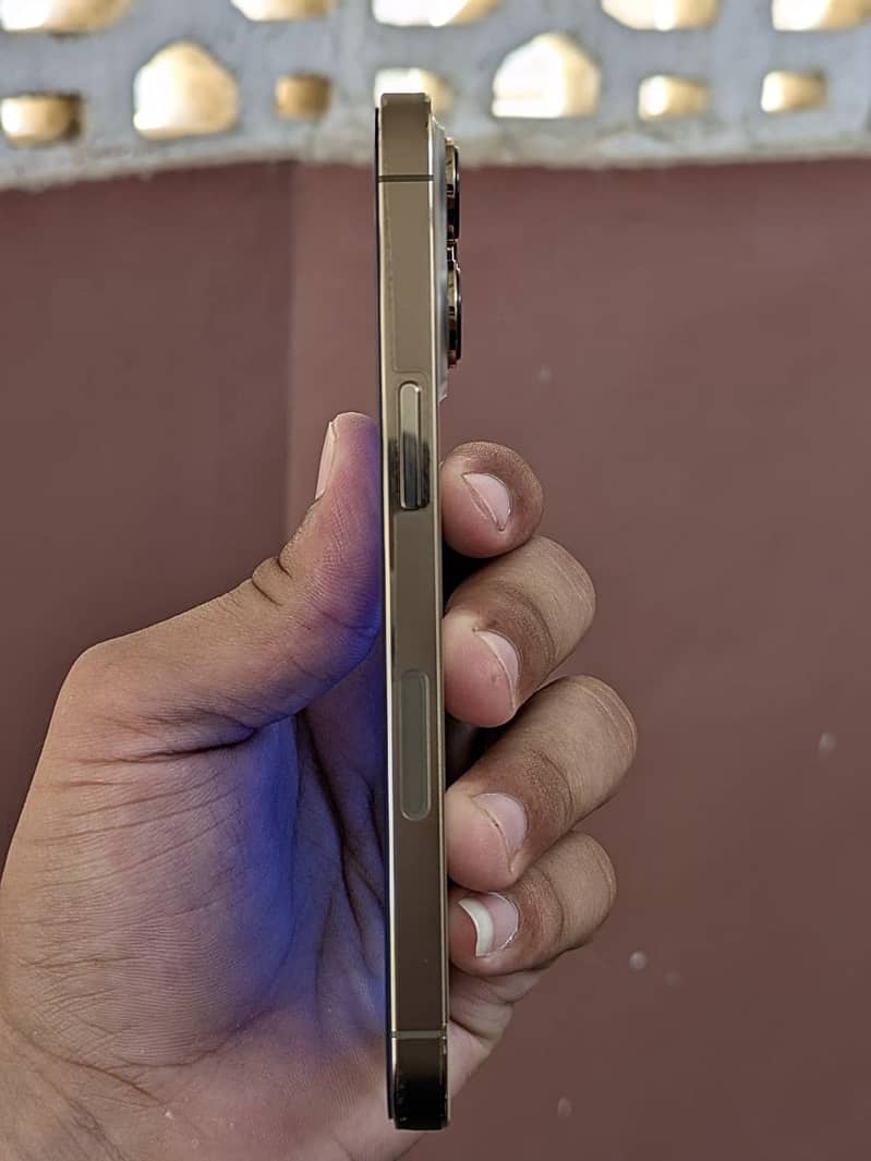 iPhone 13 Pro 2